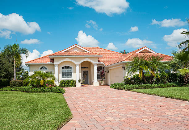 Best Driveway Paving Contractor  in Vidor, TX