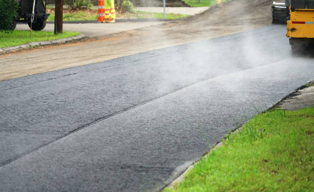 Best Custom Driveway Pavers  in Vidor, TX